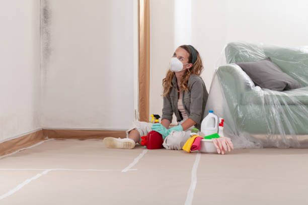 Reliable Mold Inspection contractor in Springfield, FL by WQB Mold Removal